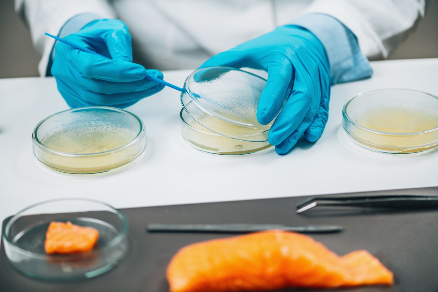 Türk Gıda Kodeksi Mikrobiyolojik Kriterler Yönetmeliği EK-3 Patojen Mikroorganizmaların Limitleri, SafeTest Labs baskılı belge