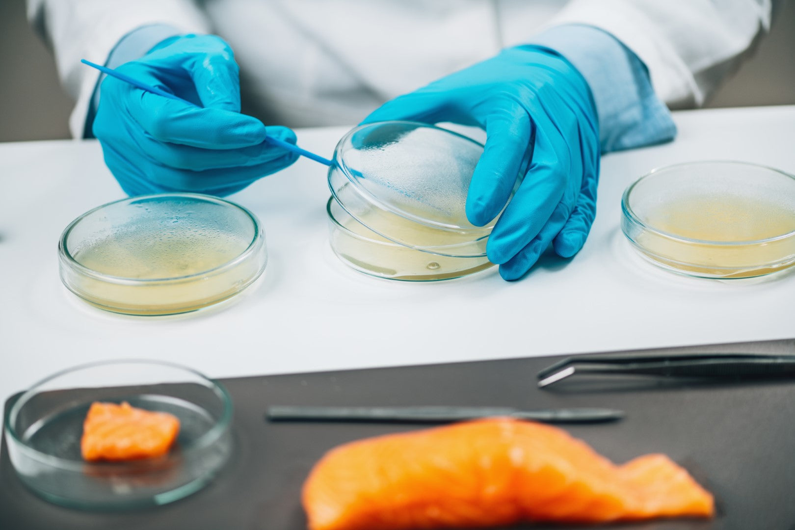 Türk Gıda Kodeksi Mikrobiyolojik Kriterler Yönetmeliği EK-3 Patojen Mikroorganizmaların Limitleri, SafeTest Labs baskılı belge
