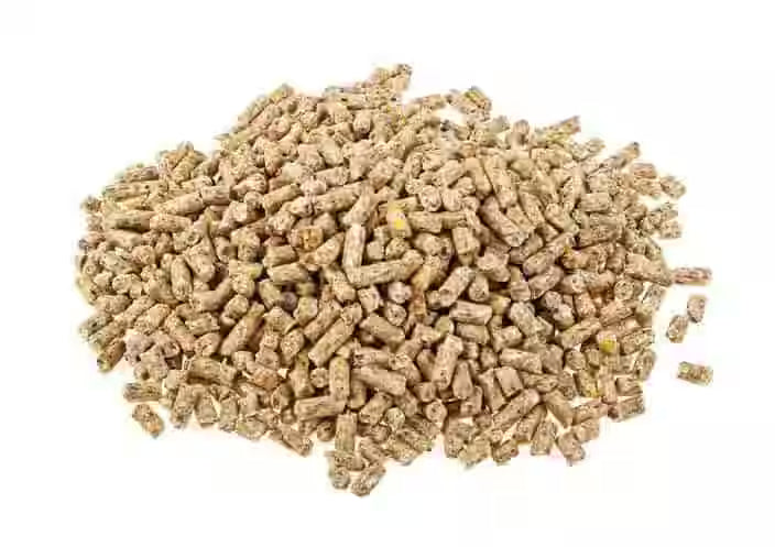SafeTest Labs Peroksit Sayısı Tayini cihazı, laboratuvar kullanımı için pellet ve feed analizinde kullanılan hassas test ekipmanı